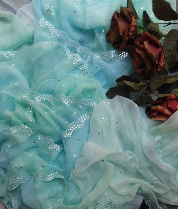 Pure Shiffon Half Fabric Saree With Blouse - Image 6