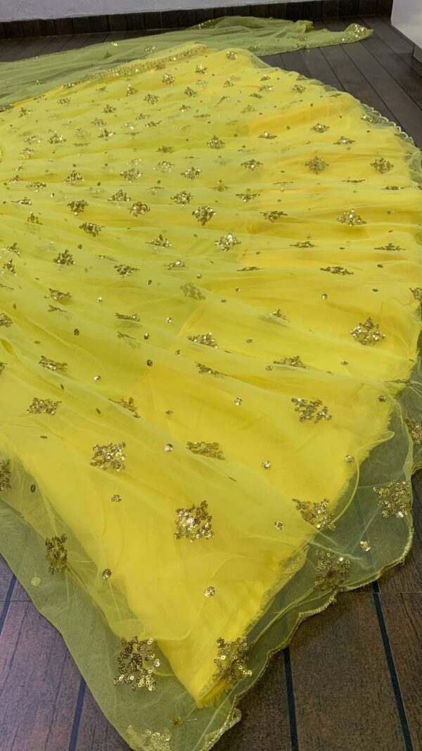 Haldi Special Double layer Net and sequence work Lehenga with Net Dupatta. - Image 5