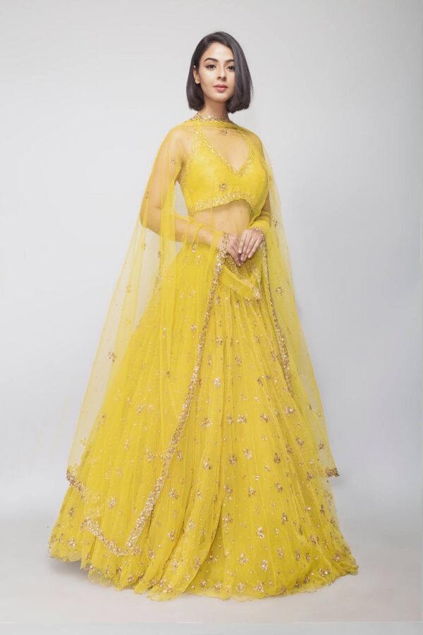 Haldi Special Double layer Net and sequence work Lehenga with Net Dupatta.