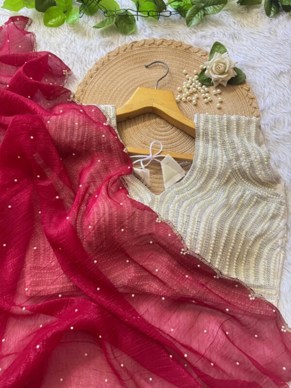 Jari silk and Moti Work Saree With Faully stitched Blouse.