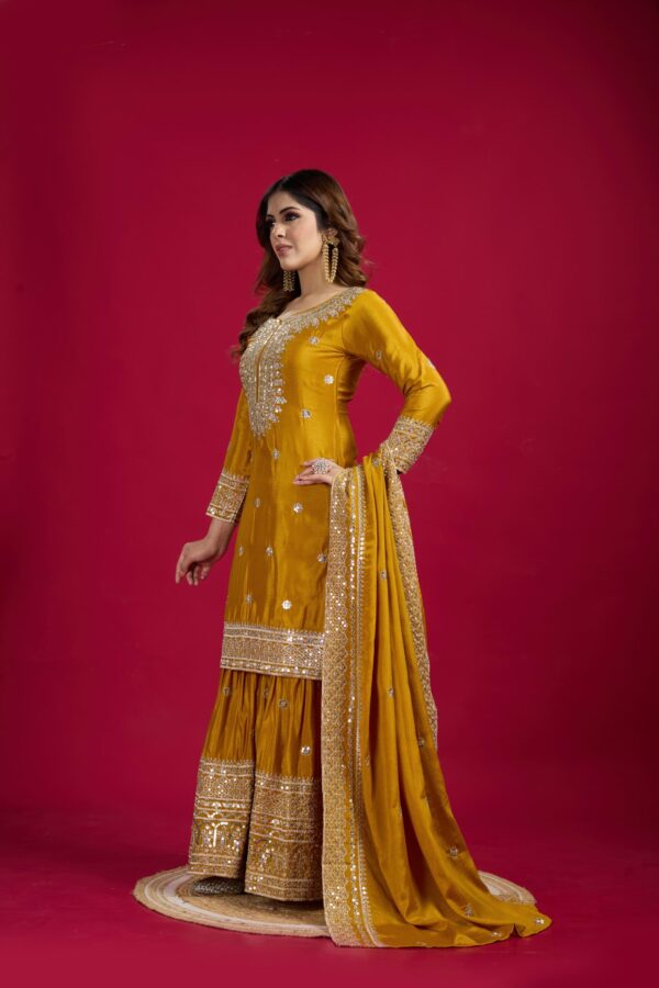 Ready made Fully stitched Heavy Embroidery Sequence Work Top, Plazo And Dupatta. - Image 7