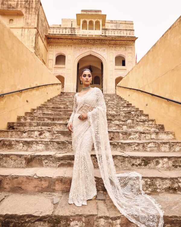 Heavy quality Butterfly Net Saree - Image 4