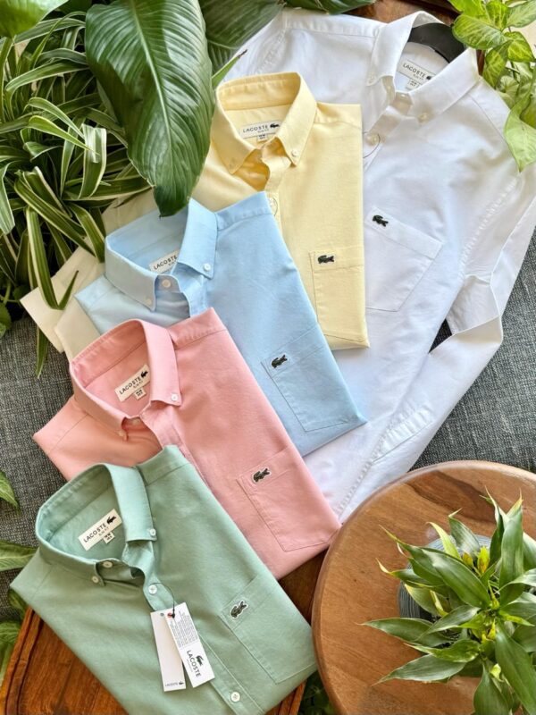 Lacoste Shirt For Men