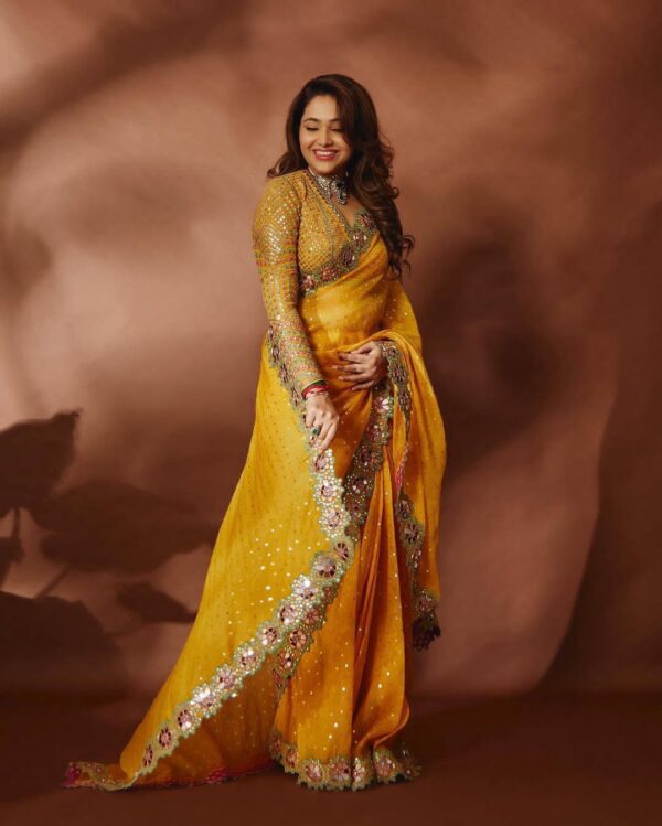 Heavy Sequins with Mirror work Saree