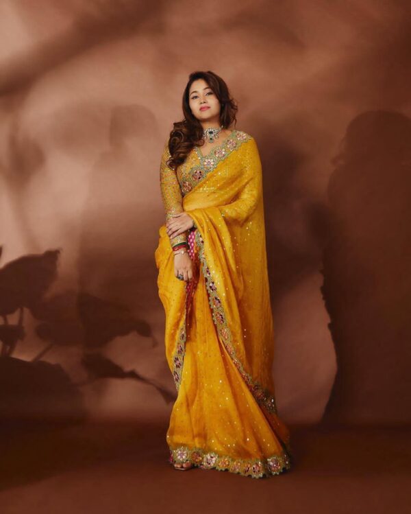 Heavy Sequins with Mirror work Saree - Image 10