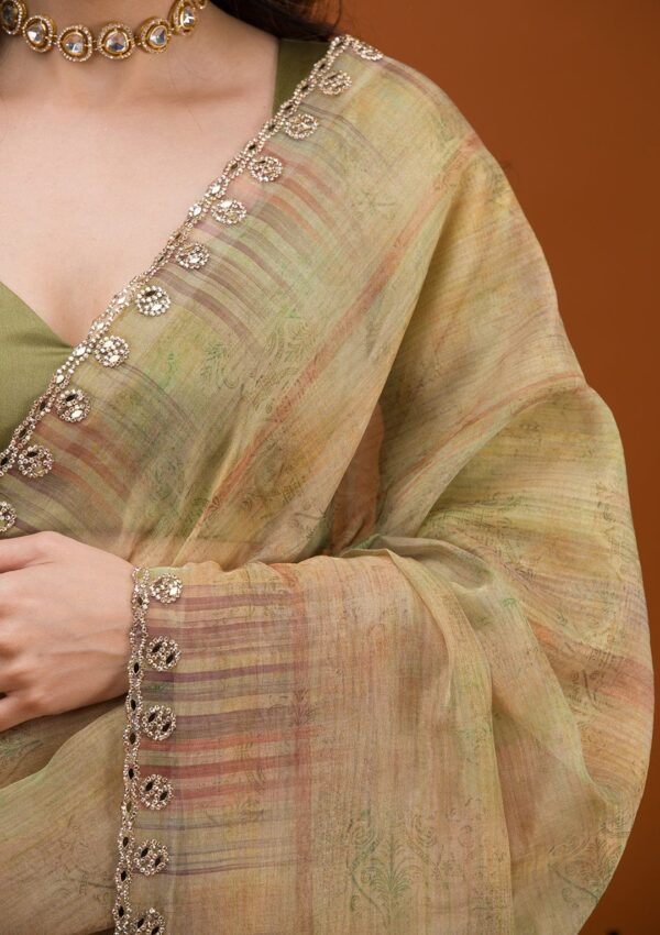 Soft Tabby Organza Printed Saree - Image 5