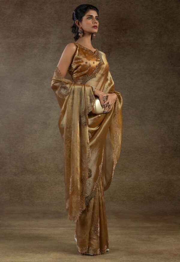 Jarkhan Diamond Work Designer Saree - Image 7