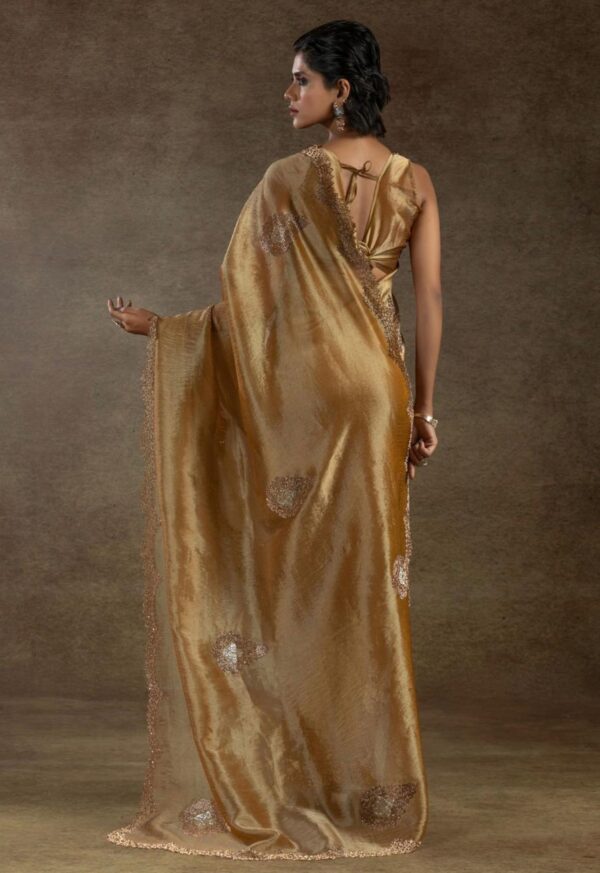 Jarkhan Diamond Work Designer Saree - Image 5