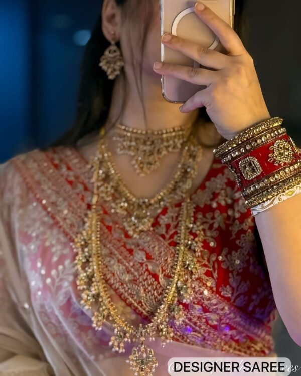Designer Heavy Organza Saree - Image 7