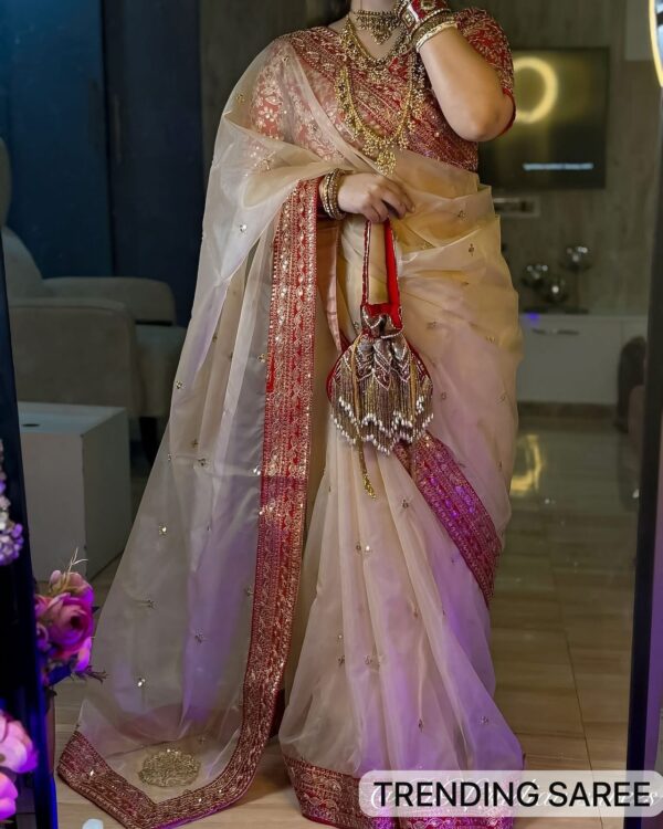 Designer Heavy Organza Saree - Image 8