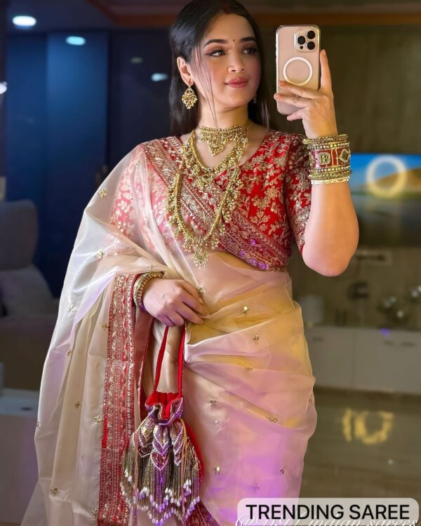 Designer Heavy Organza Saree