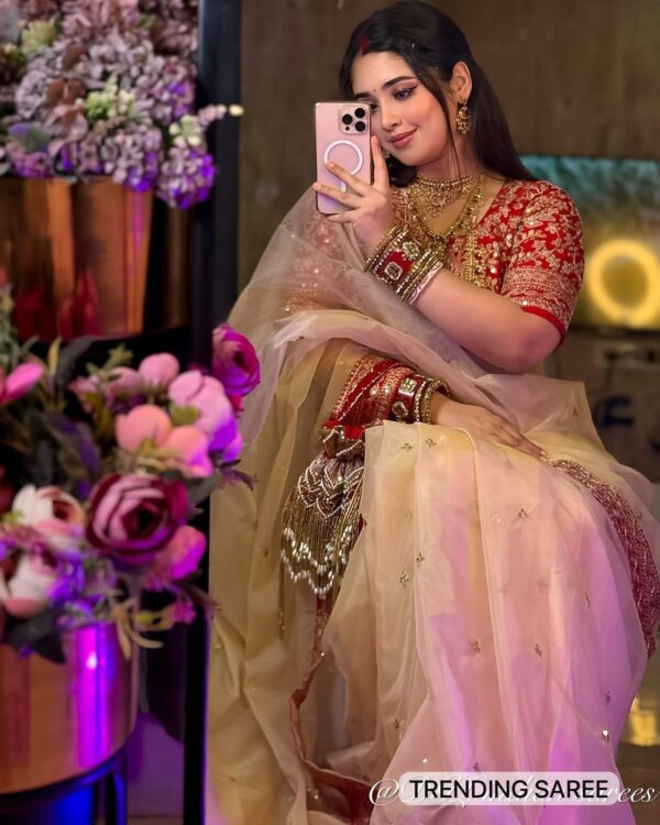 Designer Heavy Organza Saree - Image 5