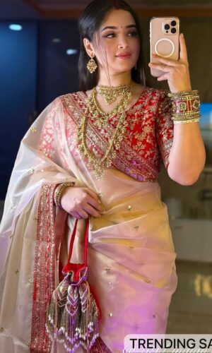 Heavy Soft Organza Saree