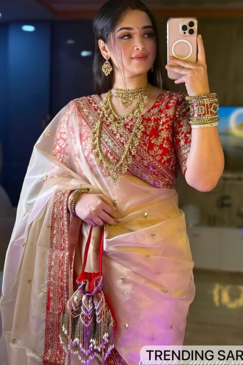 Designer Heavy Organza Saree